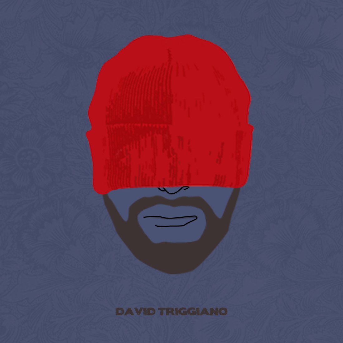 Original artwork for David Triggiano